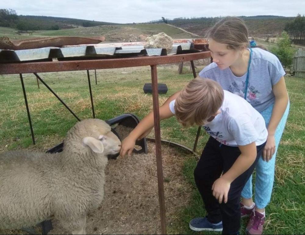 Rocks & Roses Farm Stay Lochiel Dış mekan fotoğraf