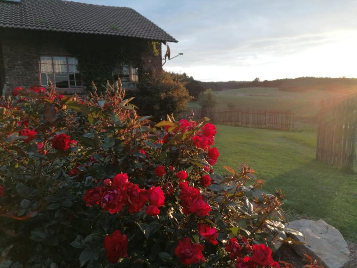 Rocks & Roses Farm Stay Lochiel Dış mekan fotoğraf