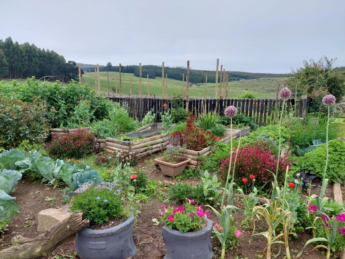 Rocks & Roses Farm Stay Lochiel Dış mekan fotoğraf