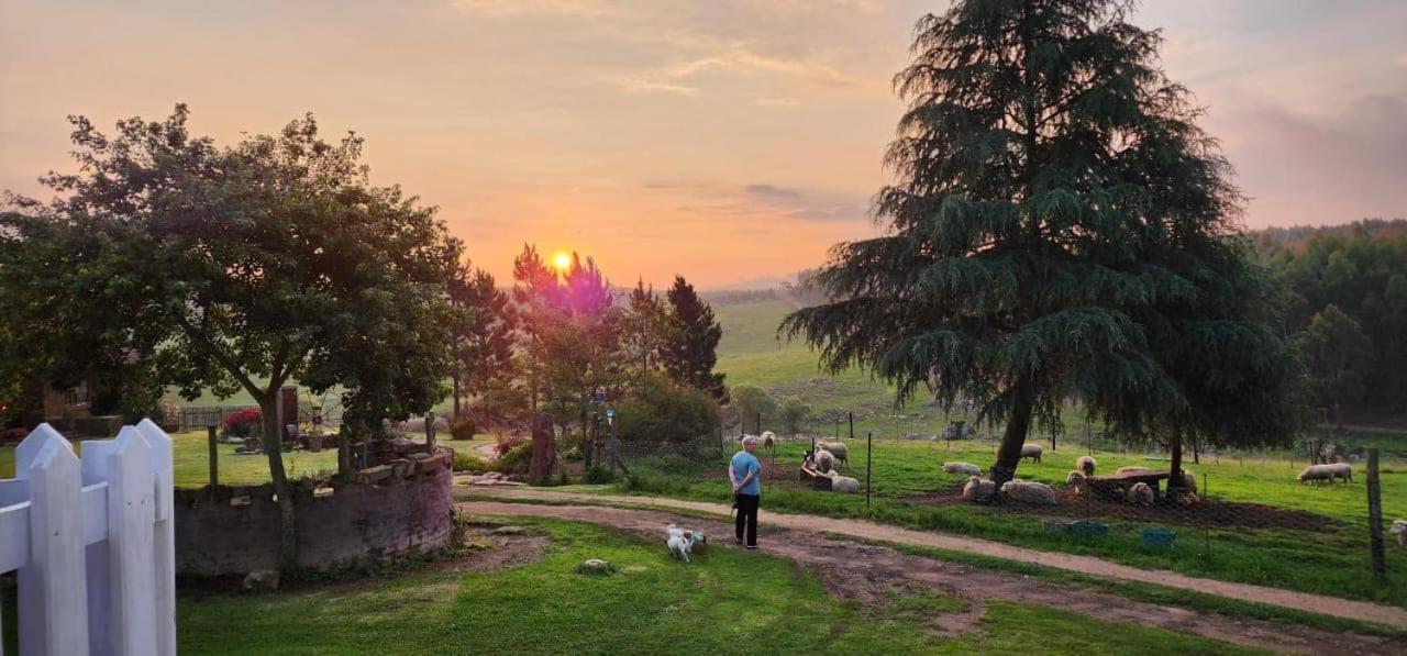 Rocks & Roses Farm Stay Lochiel Dış mekan fotoğraf