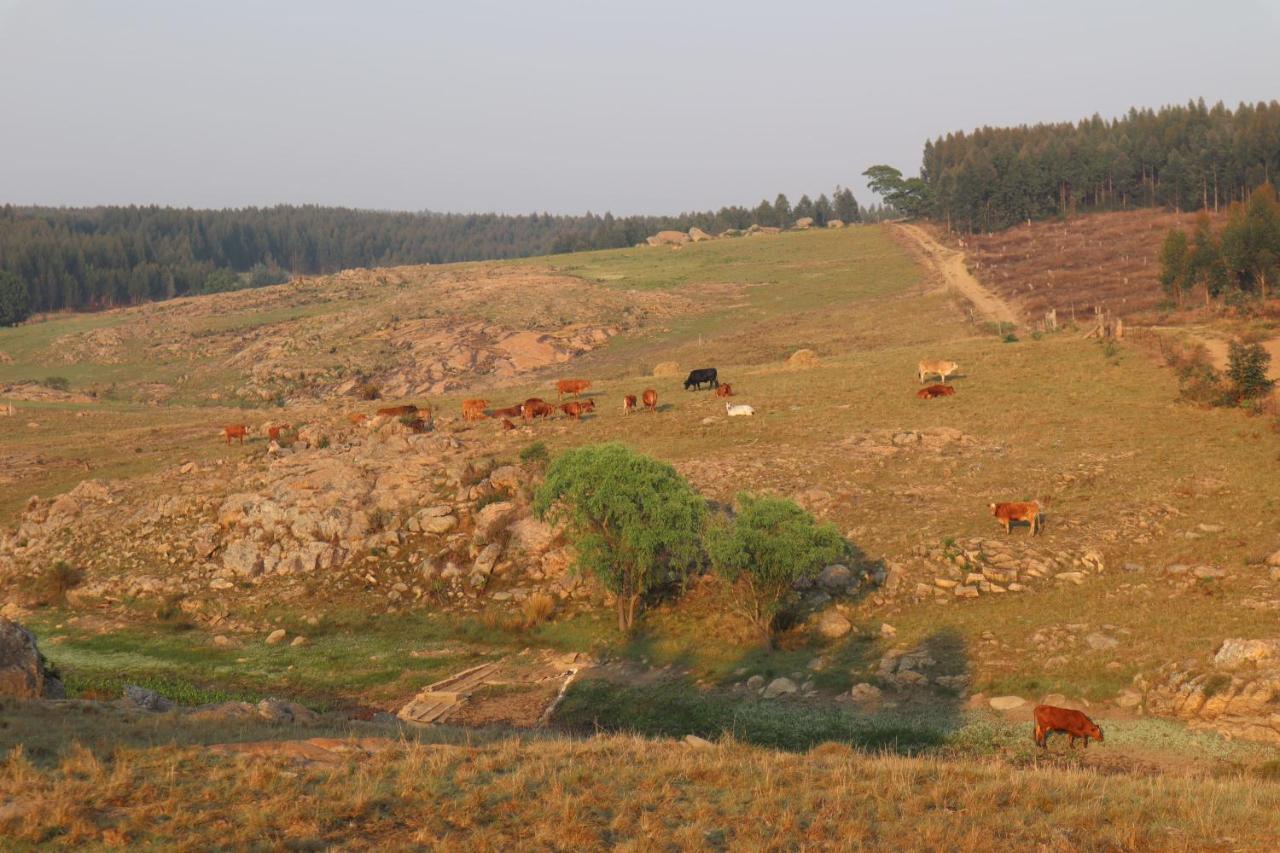 Rocks & Roses Farm Stay Lochiel Dış mekan fotoğraf