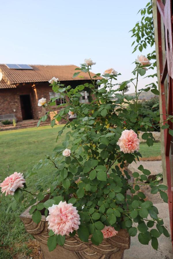 Rocks & Roses Farm Stay Lochiel Dış mekan fotoğraf